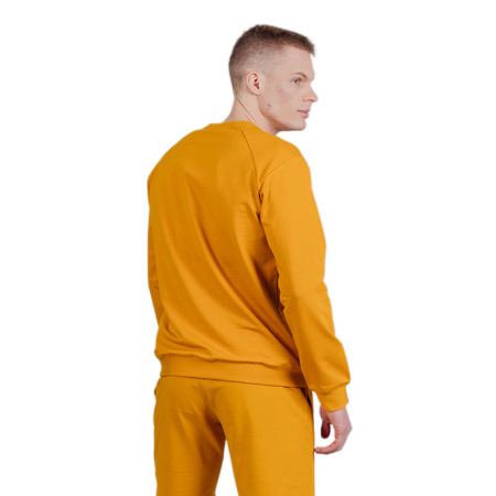 Фото свитшот мужской nordski simple logo bronze
